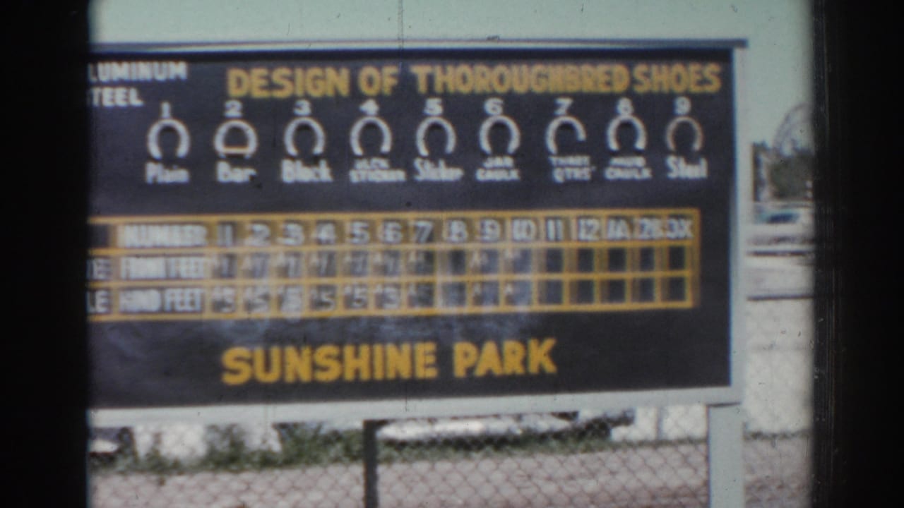 Scoreboard partly split by the film frame, with Sunshine Park lettering and result columns visible.