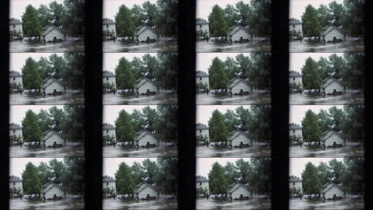 1951 Willmar Folks Kentucky archival home movie collage showing representative scenes from this vintage stock footage collection