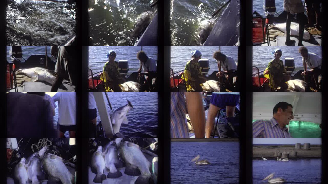 1969 Nigeria archival home movie collage showing representative scenes from this vintage stock footage collection