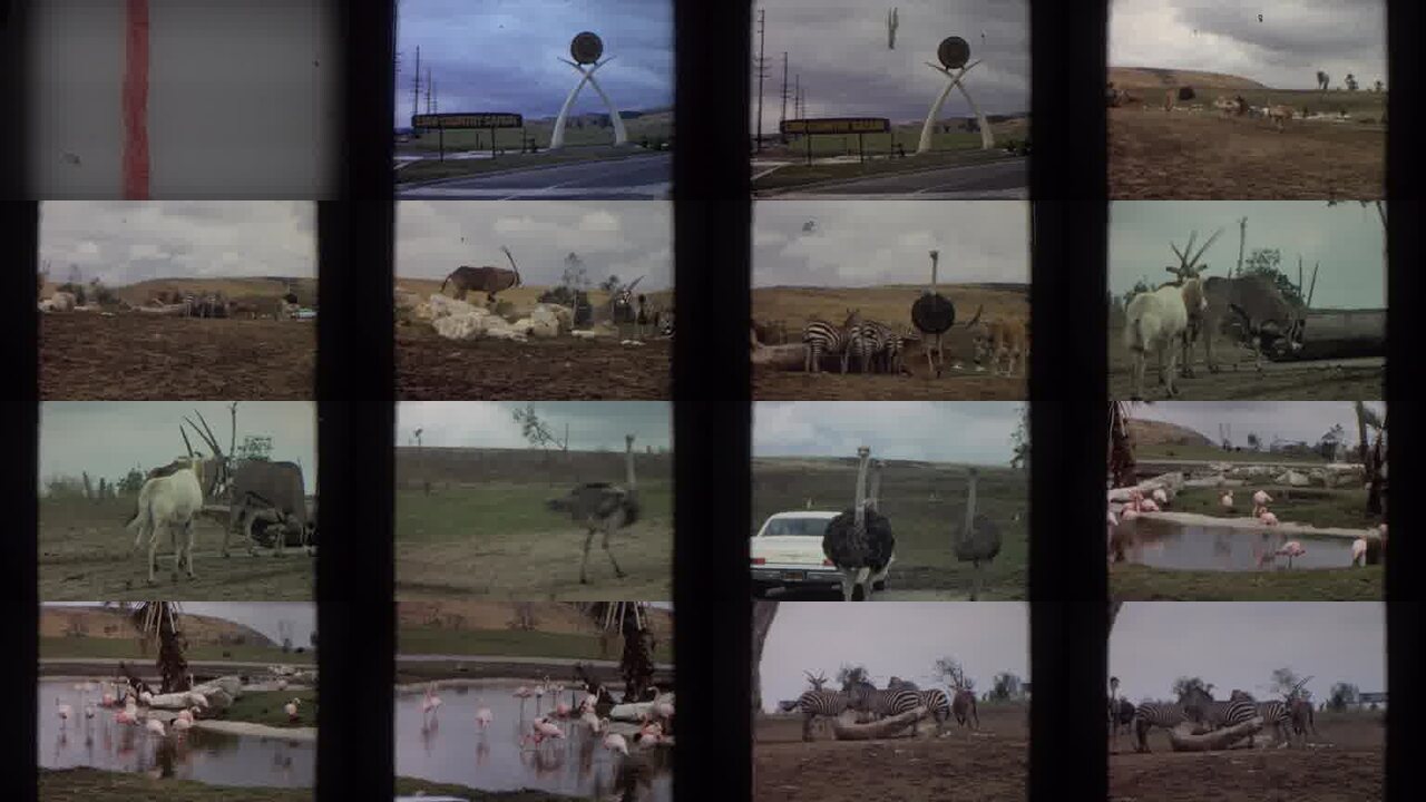 1974 Irvine California archival home movie collage showing representative scenes from this vintage stock footage collection