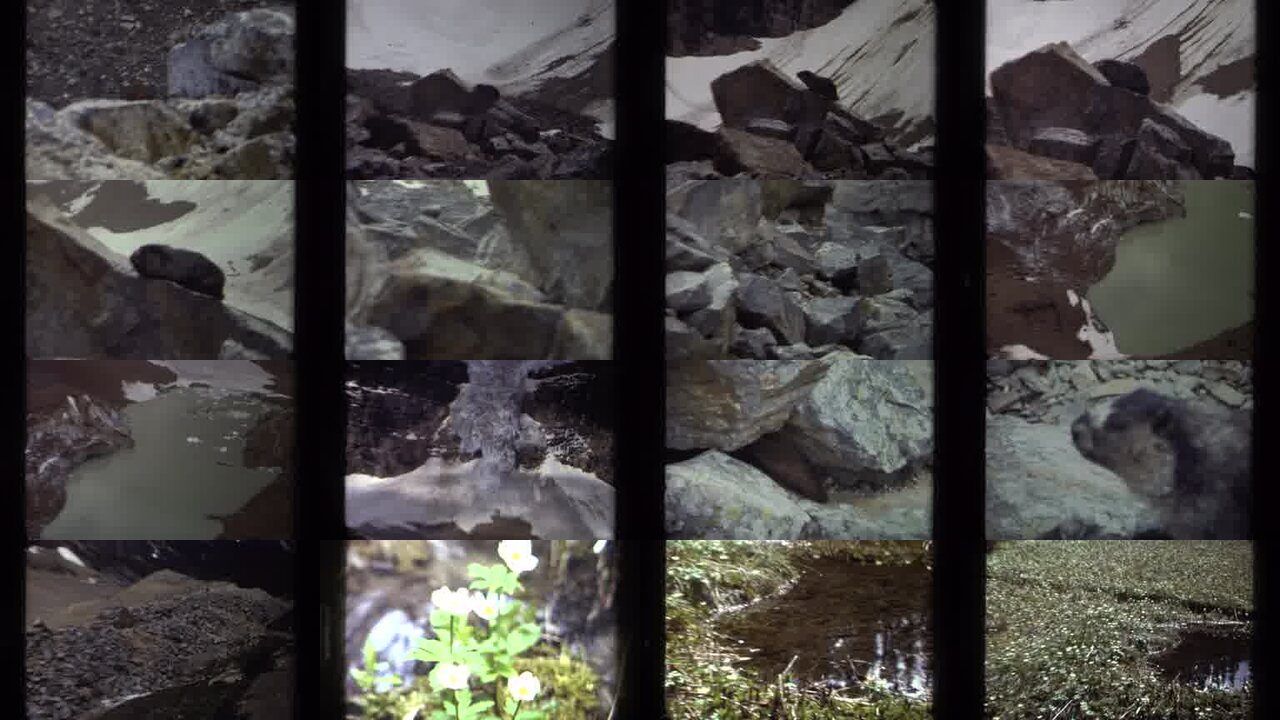 1979 British Columbia Canada archival home movie collage showing representative scenes from this vintage stock footage collection