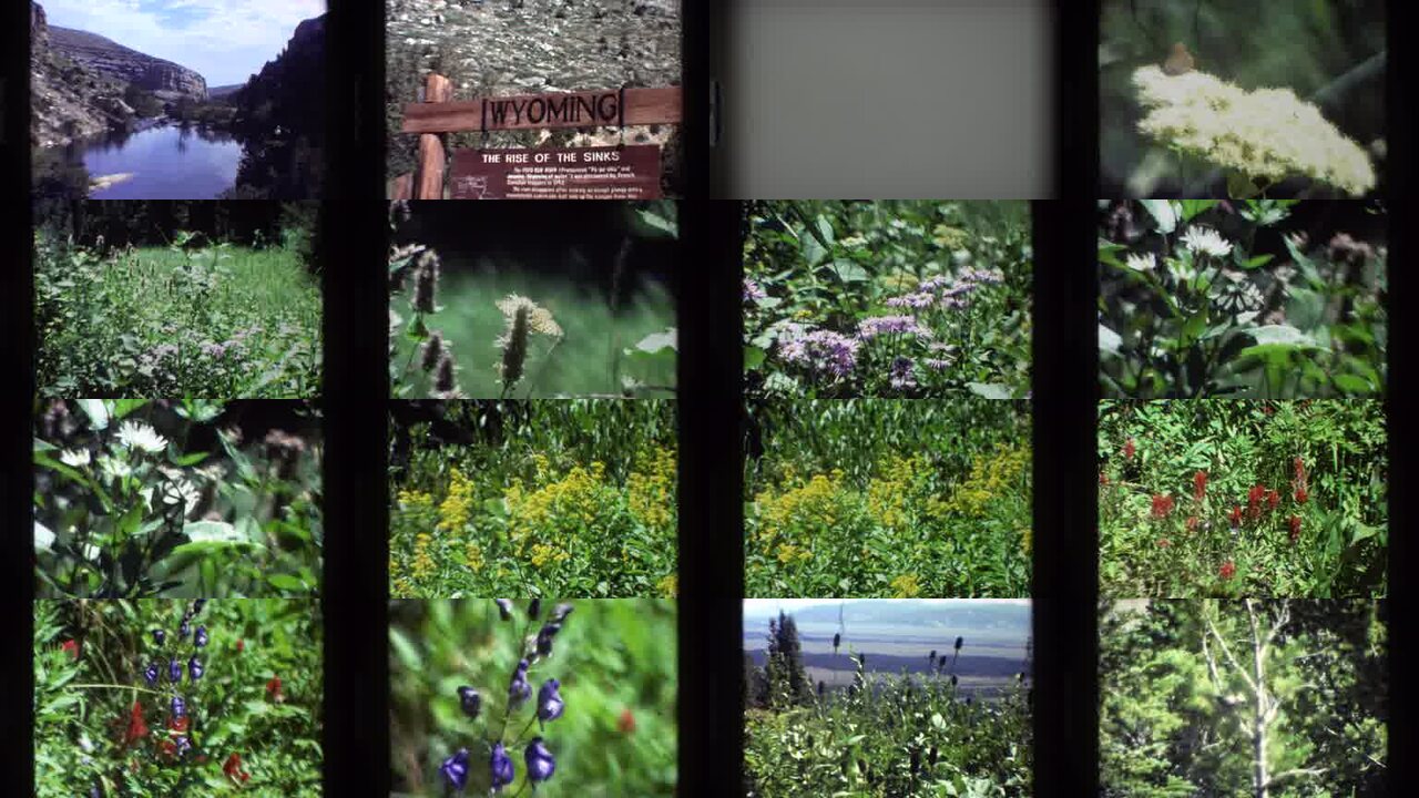 1980 Wyoming archival home movie collage showing representative scenes from this vintage stock footage collection