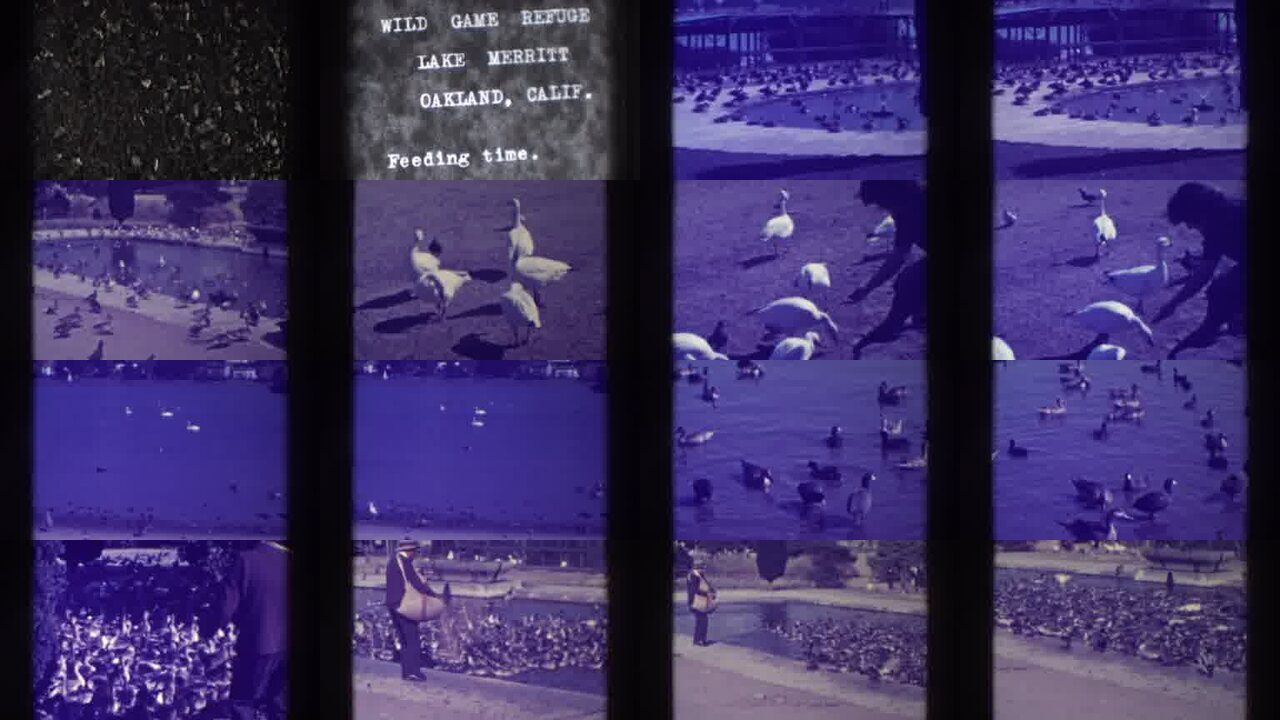 1937 Oakland California archival home movie collage showing representative scenes from this vintage stock footage collection