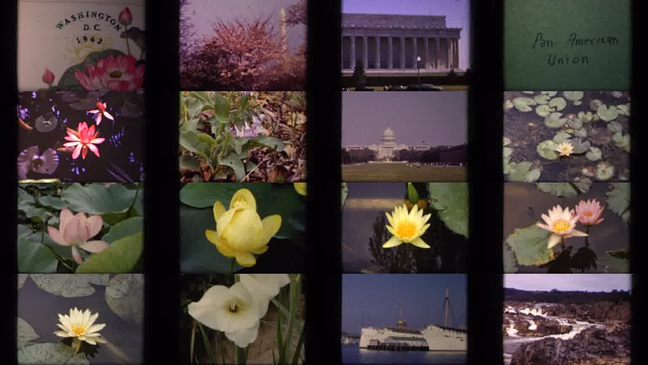 1943 Washington DC archival home movie collage showing representative scenes from this vintage stock footage collection