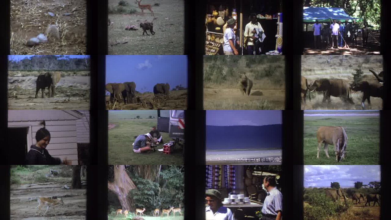 1969 South Africa archival home movie collage showing representative scenes from this vintage stock footage collection